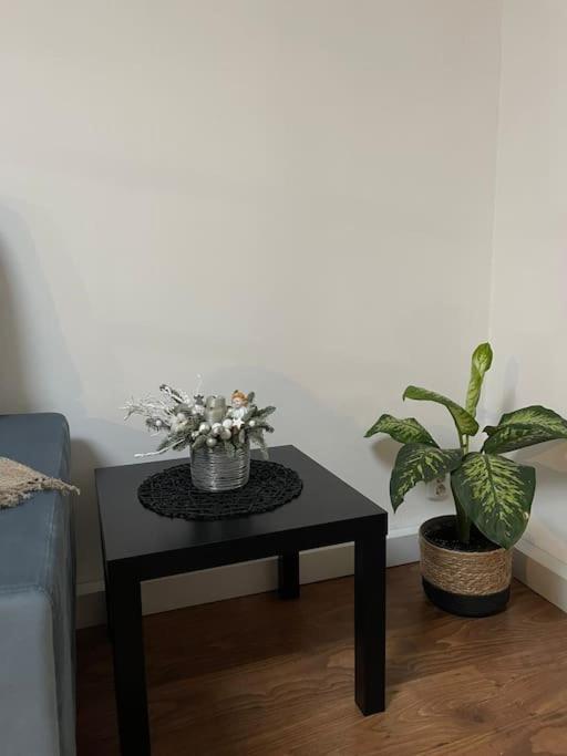 טימישוארה Apartament La Casa מראה חיצוני תמונה